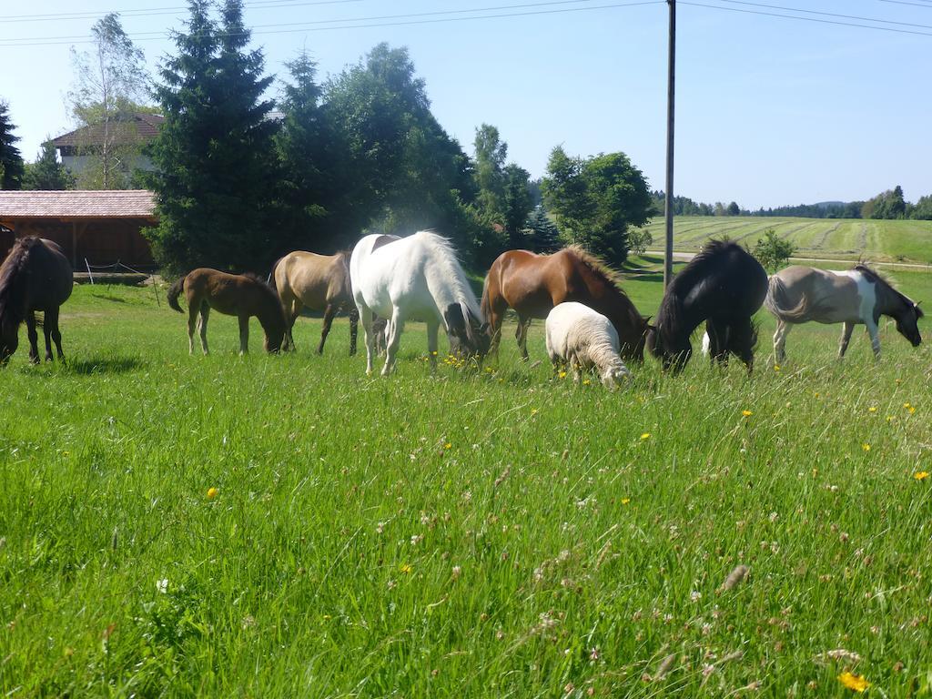 Landgasthof Zum Schwanen Hornberg Eksteriør bilde