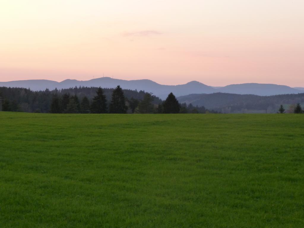 Landgasthof Zum Schwanen Hornberg Eksteriør bilde