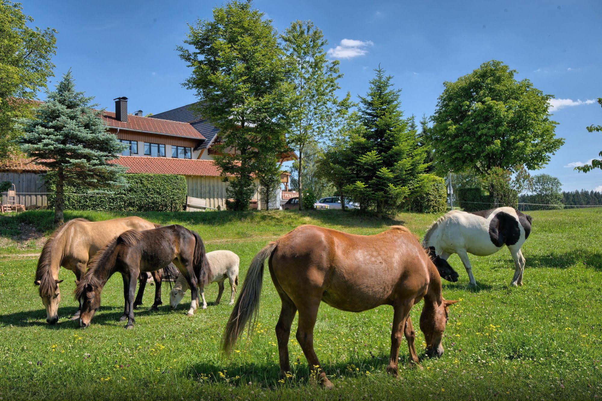 Landgasthof Zum Schwanen Hornberg Eksteriør bilde
